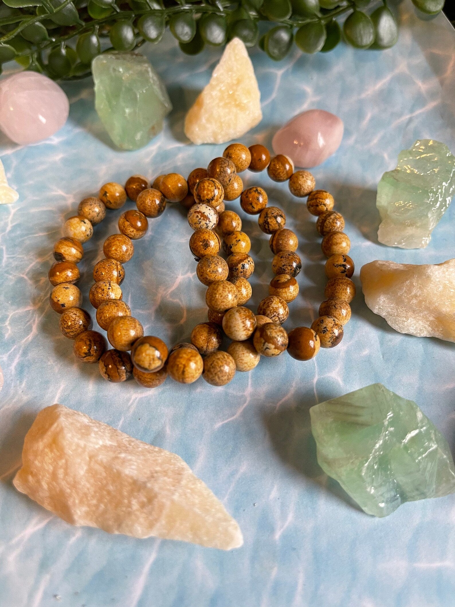 Picture Jasper Bracelet