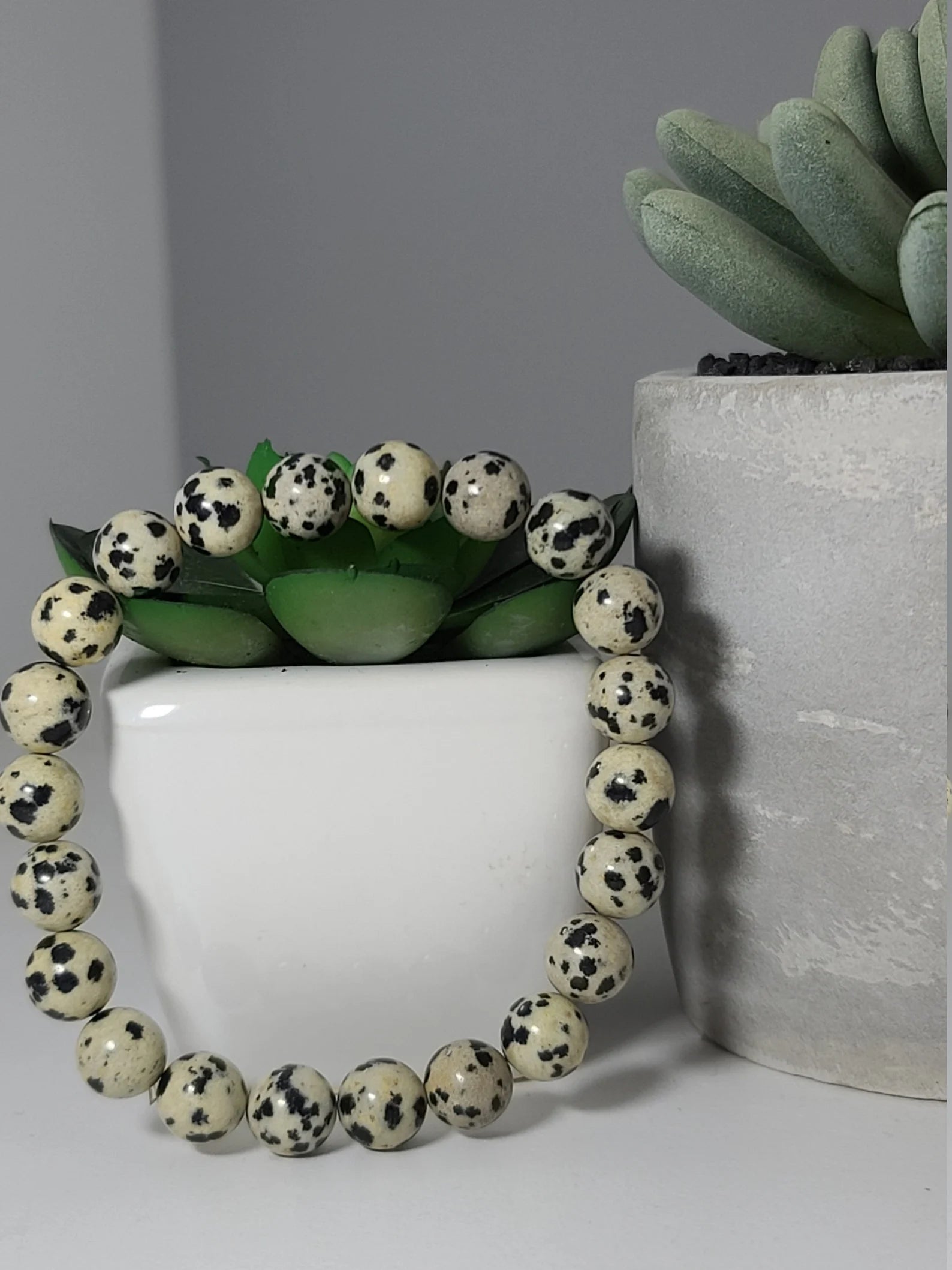 Dalmation Jasper Bracelet