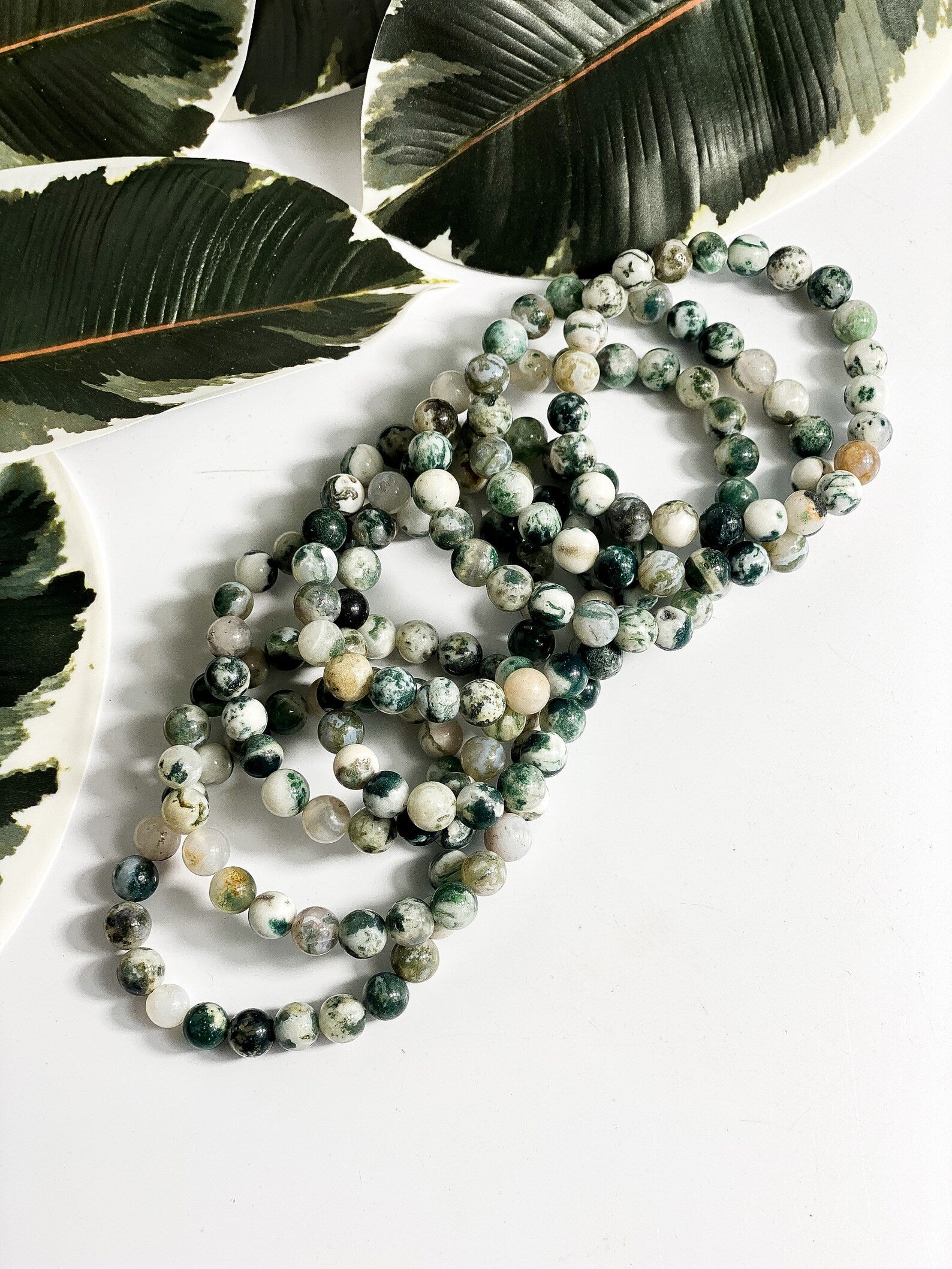 Tree Agate Bracelet